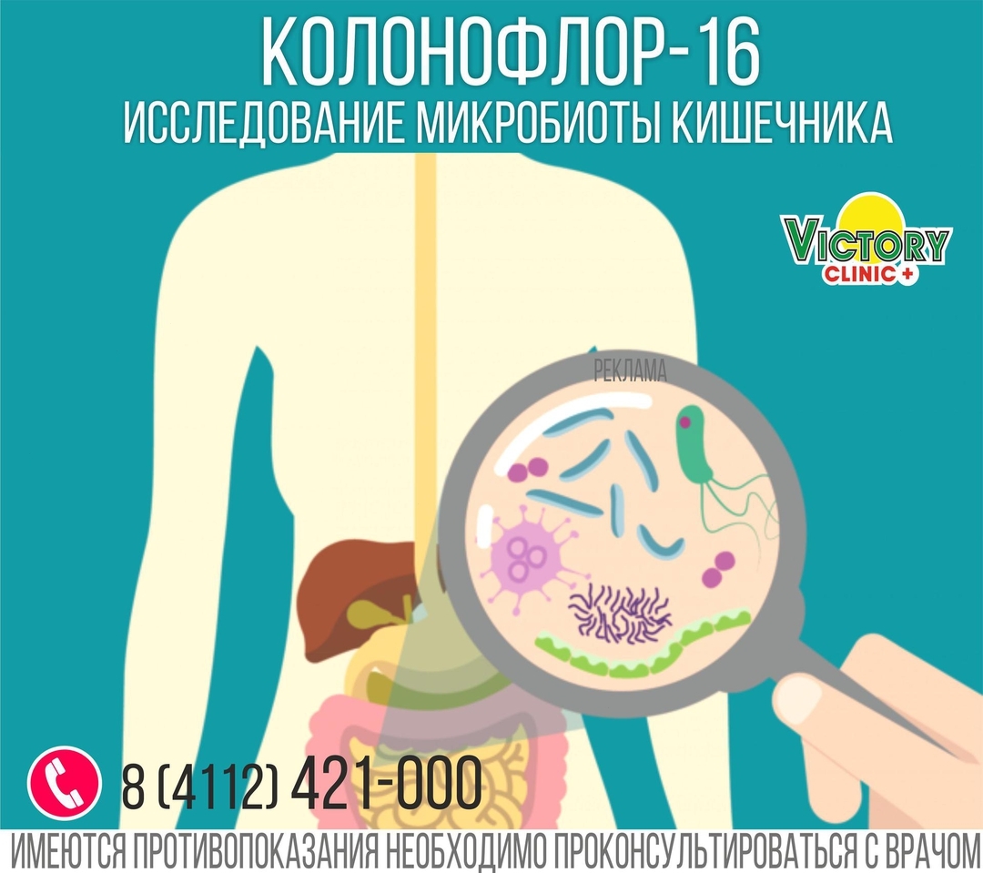 Микробиота кишечника картинки